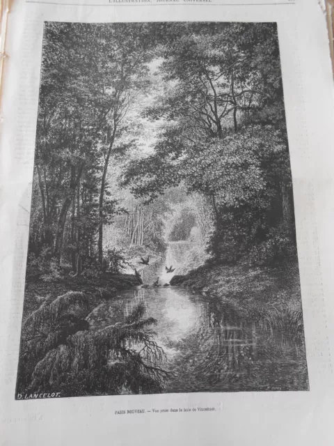 Gravure 1869 - Paris Nouveau Vue prise dans le bois de Vincennes