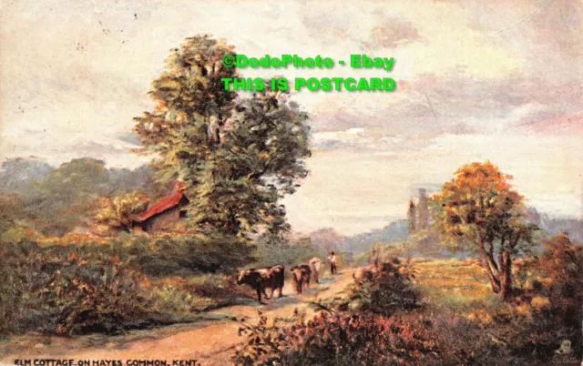 R353957 Kent. Elm Cottages on Hayes Common. Tuck. Oilette. Postcard 1533. 1906