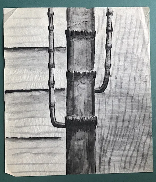 Original 1940's to 50's Modernist Design Idea Drawings " INK ON VELUM " Bamboo