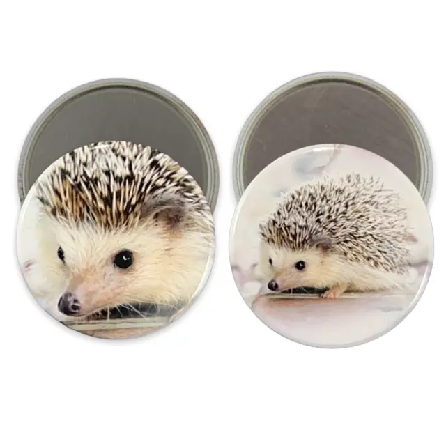 2.25 Inch Magnets Set of 2 Cute Hedgehog for Fridge, Kitchen, Whiteboard