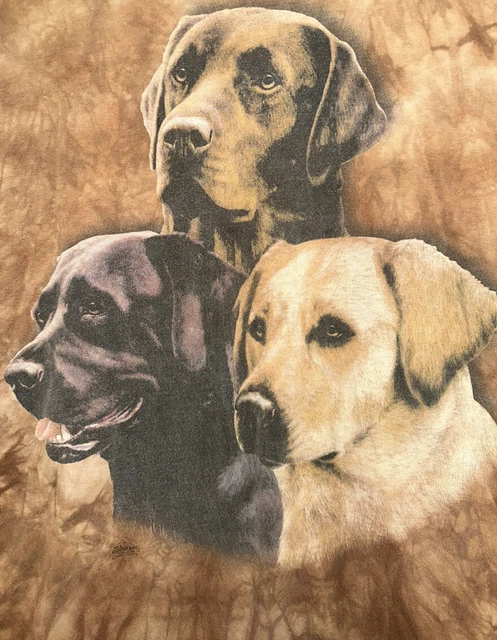 The Mountain Tie Dye T Shirt - Labrador Retrievers - Nigel Hemming - Mens XL