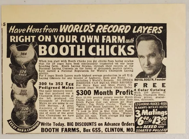 1949 Print Ad Booth Farms Chicks & Chickens Clinton,Missouri