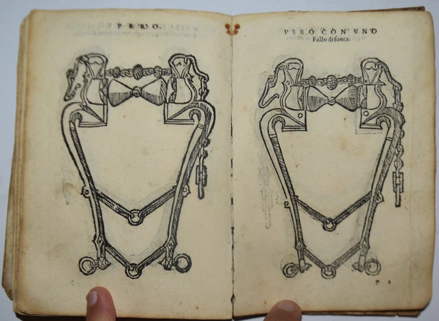ORDINI DI CAVALCARE - fig. 1561 - Grisone - cavalli - MOLTE XILOGRAFIE