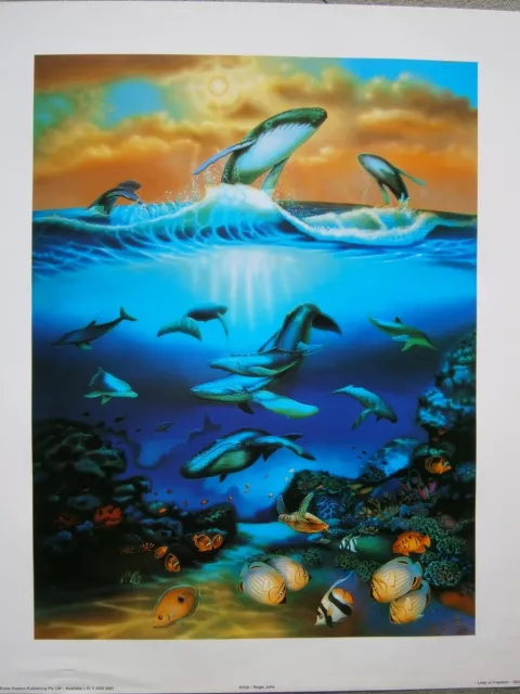 Mini Poster Leap of Faith Dolphins Whales Tropical Fish Coral Reef