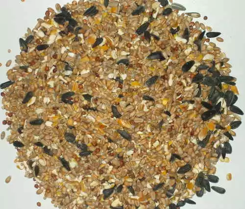 20Kg High Quality Deluxe Wild Bird Seed All Seasons Garden Mix With Aniseed