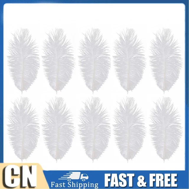 10 piezas Plumas esponjosas Pluma de Avestruz Boda Fiesta Plumas Pluma 30-35 cm (Blanco)