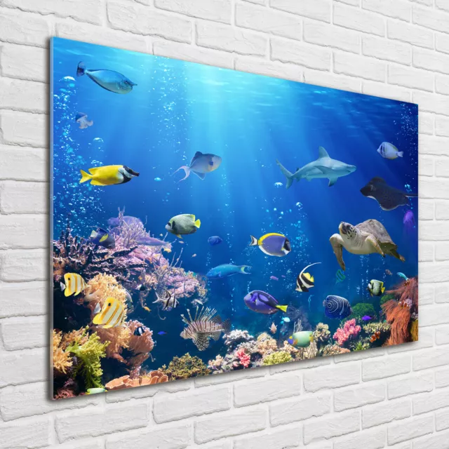 Wandbild aus Plexiglas® Druck auf Acryl 100x70 Tiere Korallenriff