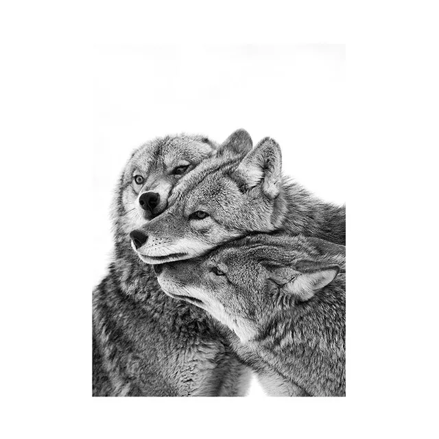 Black and White Wild Animal Wolf Posters Prints Wall Art Decor Canvas Painting