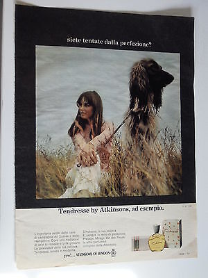 1964 TENDRESSE ATKINSONS OF LONDON K005 Advertising Pubblicità 