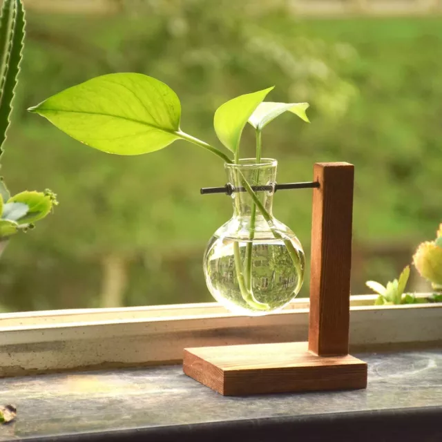 Plant Terrarium with Wooden Stand Bulb Glass Vase Holder Hydroponic Wooden Frame