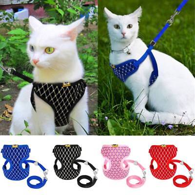 S/L Gatto Imbracatura E Guinzaglio Set a rete traspirante piccolo Pet Dog Vest Walking Outdoor 2