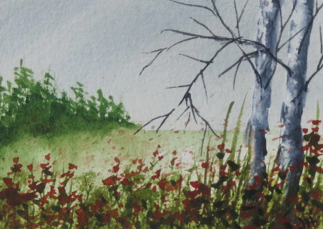 ACEO  Original Watercolors    Birch and Red Flowers   by Janet Hufnagle