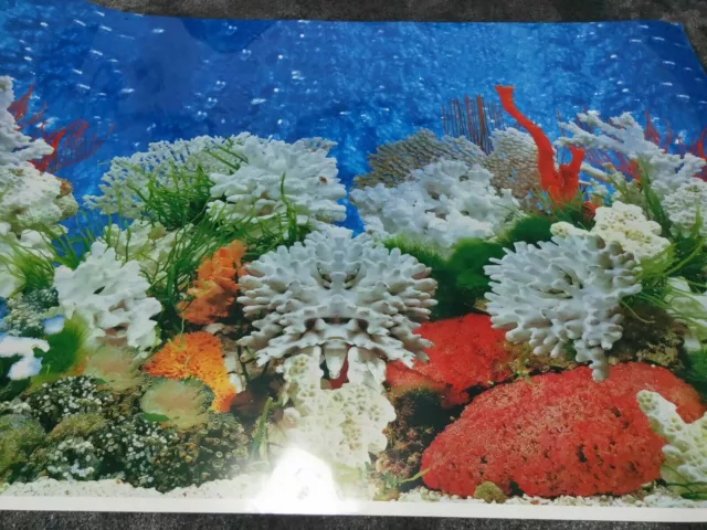 2 Fuß hoch doppelseitig Aquarium Fischtank Hintergrund Reptil Poster 3