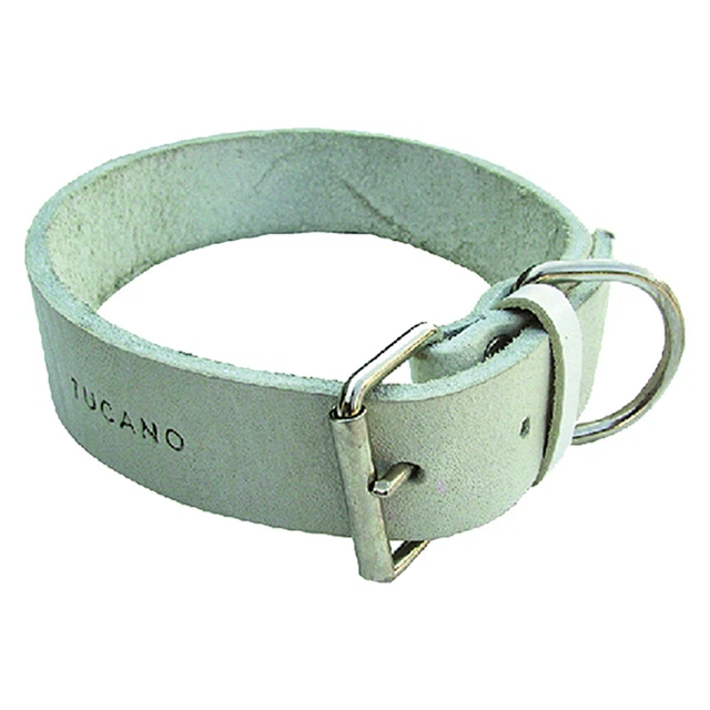 COLLARE PER CANE larg. mm 25 lung.cm 45 -PZ 6 -  DF 605781