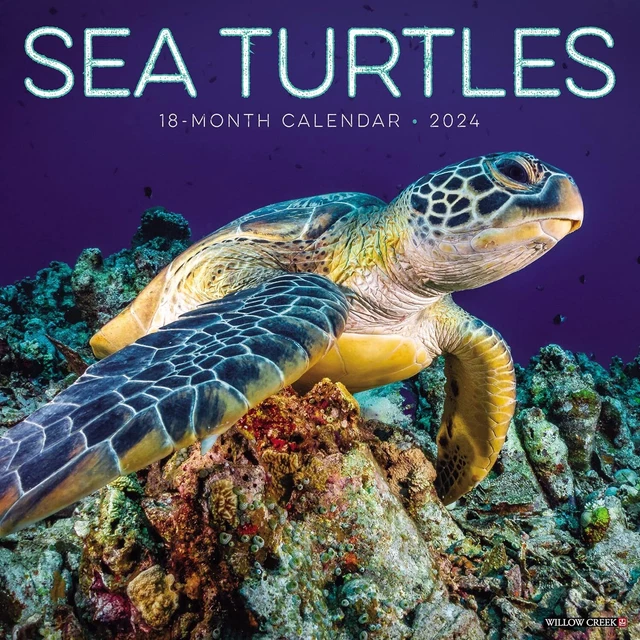 Calendrier De L'Avent Tortues De Mer 2025 - 24 Jours Avec Pendentifs Acrylique 2D, Déco Compteur Noël - 12