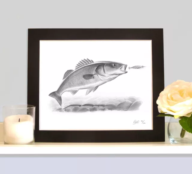 BASS SEA FISHING Fish Art Print Drawing Picture MOUNTED Present Gift For  Angler £12.99 - PicClick UK