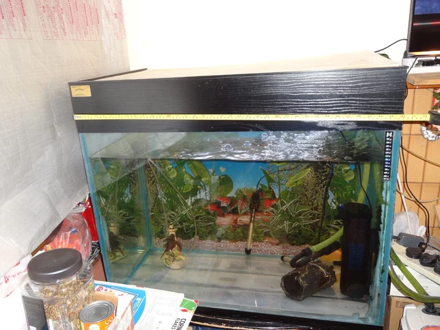 300 - 350 Litres Fish Tank