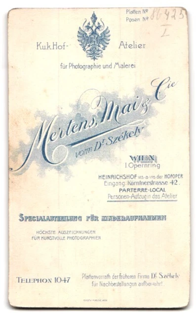 Photography Mertens Mai & Cie., Vienna, opera ring entrance Kärntnerstr. 42, Boy D 2