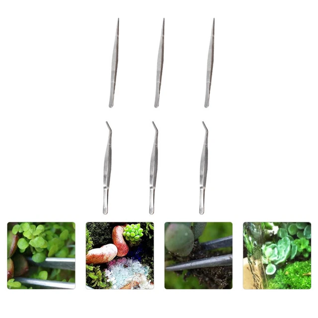 6 Pcs Aquascaping-Tools Sukkulenten-Bonsai-Pinzette Make-up-Sets Aquarium