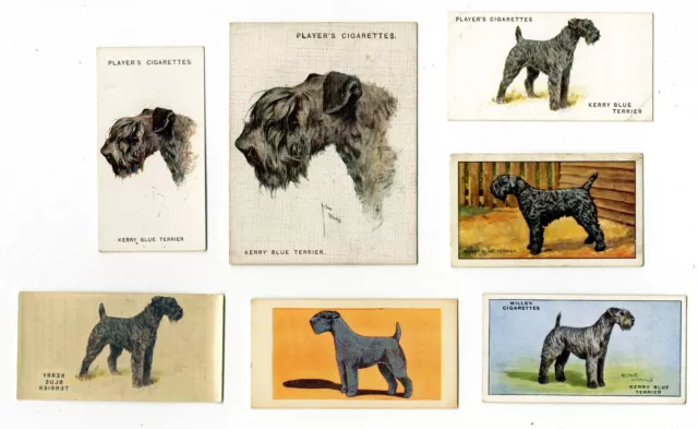 Kerry Bue Terrier Collection Of Vintage Dog Cigarette & Trade Cards