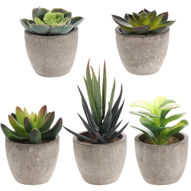 Aisamco 14 Pcs Artificielles Plantes Succulentes Faux Fleur Succulentes Aisamco 14 Pcs Artificielles Plantes Succulentes Faux Fleur Succulentes