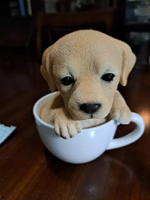 Adorable Teacup Pet Pals Puppy Collectable Figurne. 5.75" (Labrador)