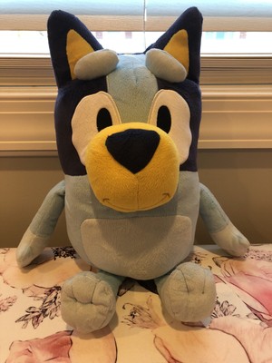 sorry with teddy