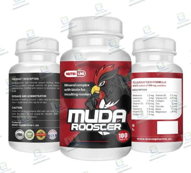 Torna A Galla Gino Galli: Il Futurista Dimenticato - Foto 12