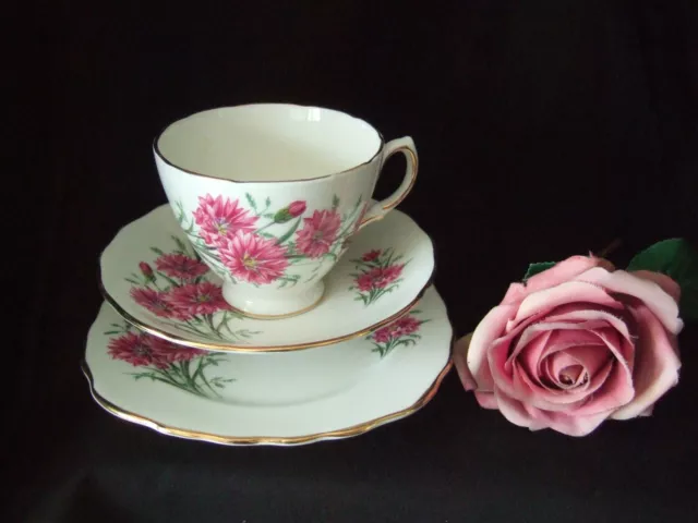 Royal Vale Bone China Trio Tea Cup Saucer Side Plate Carnations/Pinks/Dianthus