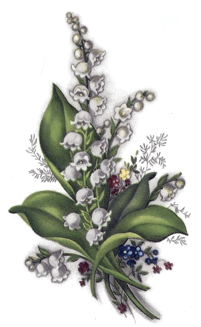 Calcomanías de cerámica para tobogán acuático Lily of the Valley Flowers Select-A-Size buey