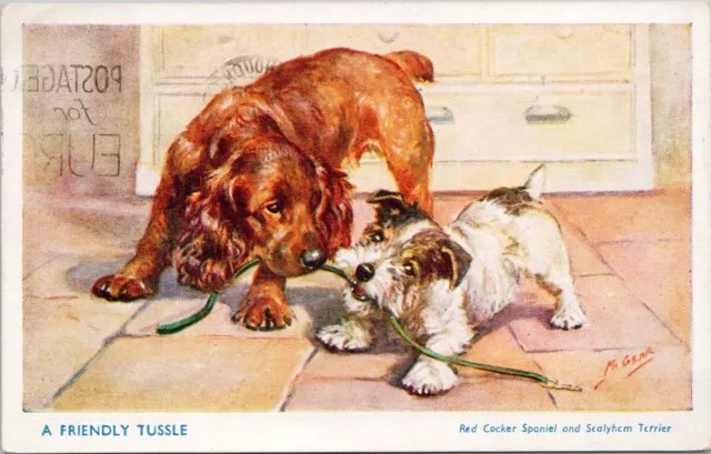 A Friendly Tussle Two Dogs Red Cocker Spaniel Sealyham Terrier Gear Postcard H40