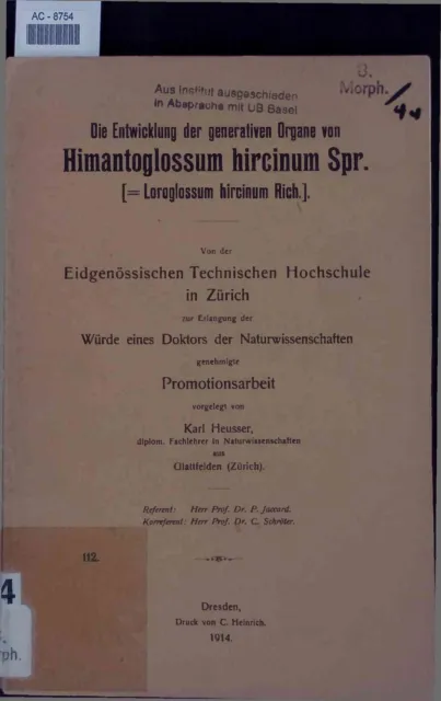 Die Entwicklung der generativen Organe von Himantoglossum hircinum Spr. [= Lorog
