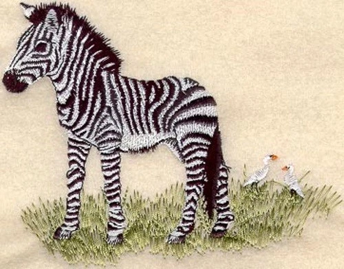 Embroidered Ladies T-Shirt - Baby Zebra M1304 Sizes S - XXL