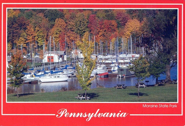 Vintage Postcard Continental Size Moraine State Park Pennsylvania