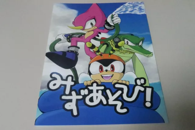 Sonic the Hedgehog Doujinshi - Blast the Hedge Hog (Sonic Shadow and S –  Cherden's Doujinshi Shop