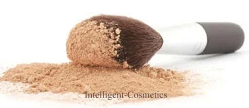 FLAWLESS Bronzer Blusher Brush Full Face Round Head Mineral Makeup Brush NEW