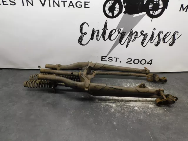 knucklehead springer