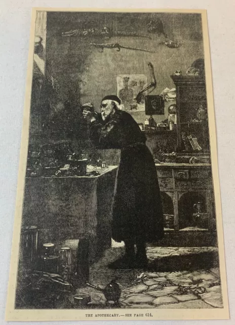 1880 Rivista Incisione ~Il Farmacista