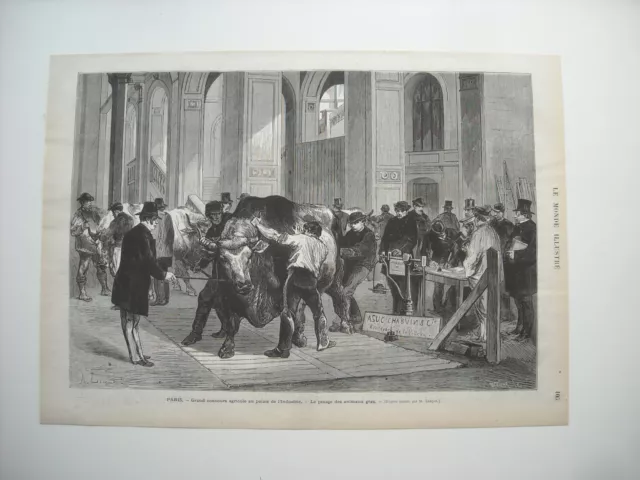 Gravure 1874. Paris. Grand Concours Agricole Au Palais De L’industrie. Animaux G