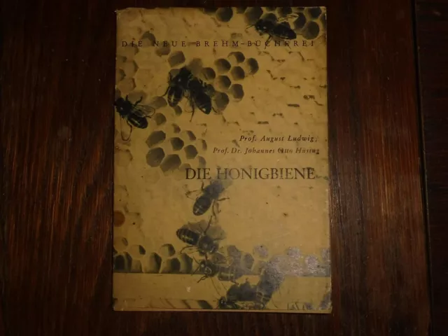 altes Buch Die Honigbiene von Ludwig / Hüsing Imker 21x18cm