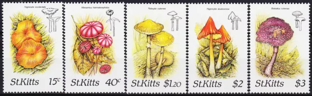 St Kitts Mushrooms 1987 MNH-17,50 Euro