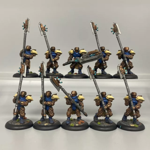 Warmachine Hordes Cygnar Stormguard Storm Knight Unit Privateer Press Painted