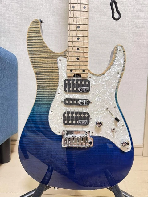 SCHECTER SD-DX-24-AS-FXD/2016 ELECTRIC Guitar $1,213.99 - PicClick
