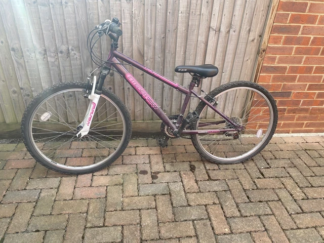 INTEGER MOUNTAIN BIKE 13 Frame 22 Wheels 18 Speed 50.00