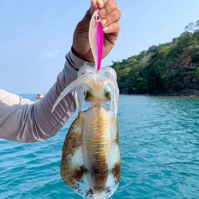 Luminous Shrimp Fishing Lure Squid Hook Cuttlefish Bait Sea Tackle (Pink)