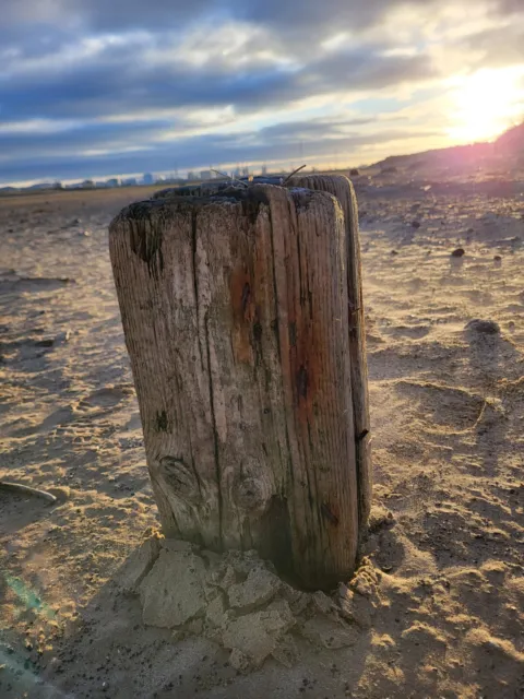 Bloque grande pesado de madera a la deriva Groyne madera de playa costa noreste 42 cm 7 kg inusual