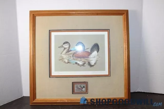 1981 Federal Duck Stamp Print Art RUDDY DUCKS Framed w/Stamp & Signed by Wilson