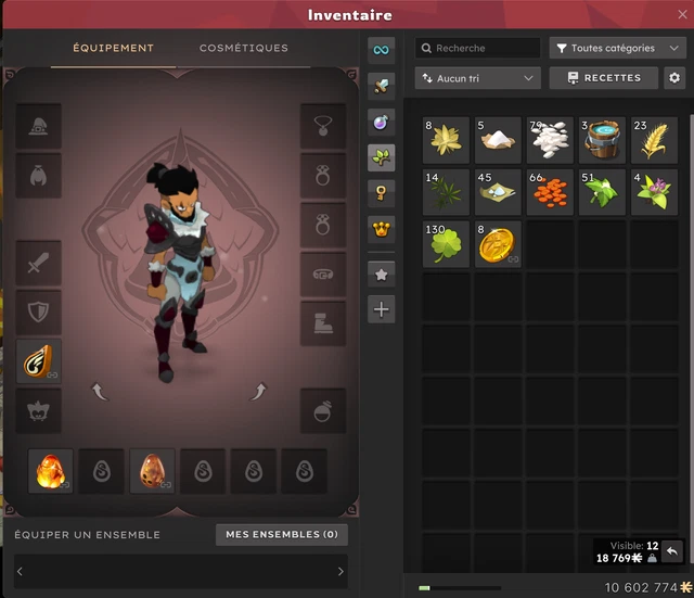 Je vends mon compte Dofus touch