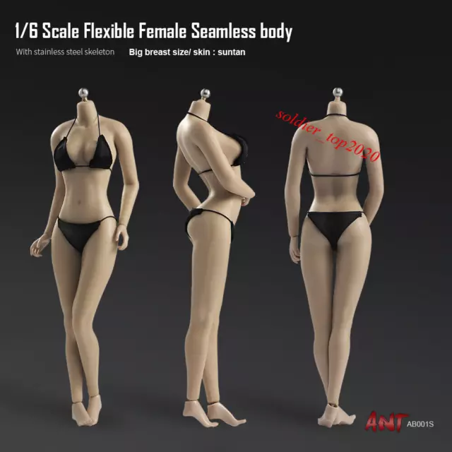 1:6 Scale Female Suntan Body Europe Girl Large Breast Flexible 12'' Figure  Model