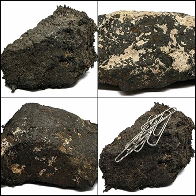Large Naturally Lodestone 1/2 to 3/4 Pound